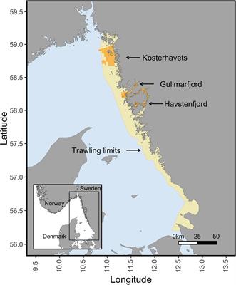 Mapping and Evaluating Marine Protected Areas and Ecosystem Services: A Transdisciplinary Delphi Forecasting Process Framework